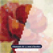Coquelicot Rouge Perlé de Rosée Matinale – gros plan des diamants