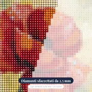 Papavero Rosso con Gocce di Rugiada Mattutina – primo piano dei diamanti