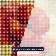 Rode klaproos met dauwdruppels in ochtendlicht – close-up van de steentjes