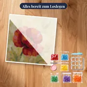 Rote Mohnblüte mit Morgentau – Set bereit zum Loslegen