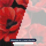Coquelicots rouges éclatants sur fond noir – gros plan des diamants
