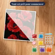 Coquelicots rouges éclatants sur fond noir – kit prêt à commencer