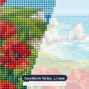 Rote Mohnblumen auf grüner Klippe über türkisem Meer – Nahaufnahme der Steine