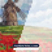 Steinmühle über rotem Mohnfeld – Nahaufnahme der Steine