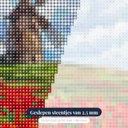 Stenen windmolen boven rood bloemenveld – close-up van de steentjes