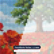 Einsame Eiche im roten Mohnfeld – Nahaufnahme der Steine
