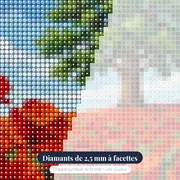 Chêne solitaire dans un champ de coquelicots rouges – gros plan des diamants
