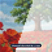 Quercia Solitaria in un Campo di Papaveri Rossi – primo piano dei diamanti