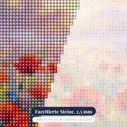 Mohnblumenfeld im Morgennebel bei Sonnenaufgang – Nahaufnahme der Steine