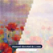 Campo di papaveri nella nebbia mattutina – primo piano dei diamanti