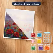 Mohnblumenfeld im Morgennebel bei Sonnenaufgang – Set bereit zum Loslegen