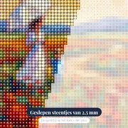 Vrouw met parasol en kind in rood veld – close-up van de steentjes