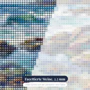 Gezeitentümpel mit Krabben und Seesternen – Nahaufnahme der Steine
