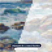 Bassin de marée aux crabes et étoiles de mer – gros plan des diamants