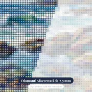 Pozza di marea con granchi e stelle marine – primo piano dei diamanti