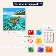 Zeeschildpad in turquoise lagune met palmen – inhoud van het pakket