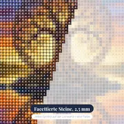 Lebensbaum auf der Insel im Abendlicht – Nahaufnahme der Steine