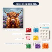 Portrait de vache Highland rousse dans la brume – contenu du kit