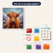 Rode Hooglander Met Paarse Heide In De Mist – inhoud van het pakket