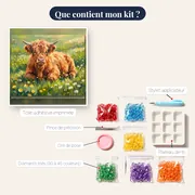 Veau Highland roux dans un pré fleuri – contenu du kit