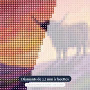 Silhouette de vache Highland au crépuscule écossais – gros plan des diamants