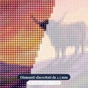 Silhouette di mucca highland al tramonto – primo piano dei diamanti