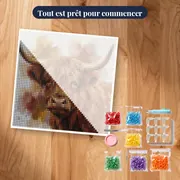 Portrait aquarelle de vache Highland aux cornes courbées – kit prêt à commencer