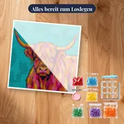 Pop-Art-Hochlandrind mit leuchtenden Farben – Set bereit zum Loslegen
