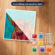 Pop Art Highland Cow Portrait – kit ready to start