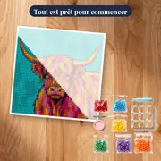 Vache Highland Pop Art Rose Fuchsia – kit prêt à commencer