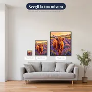 Mucca Highland tra Lavanda al Tramonto – misure disponibili