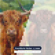 Zwei Hochlandrinder auf grünen Hügeln – Nahaufnahme der Steine