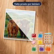 Due Mucche Highland su Colline Verdi – kit pronto per iniziare