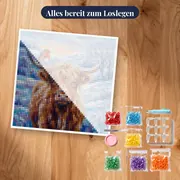 Hochlandrind mit Rotkehlchen im Winterfrost – Set bereit zum Loslegen