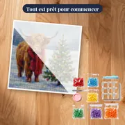 Vache Highland à l'écharpe rouge et sapin enneigé – kit prêt à commencer