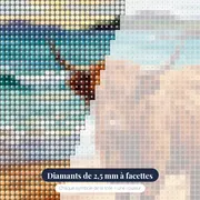 Vache des Highlands sur plage écossaise – gros plan des diamants
