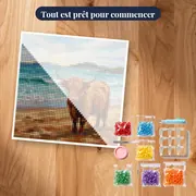 Vache des Highlands sur plage écossaise – kit prêt à commencer