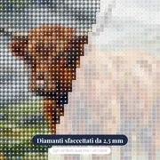 Mucca Highland Sotto La Pioggia Scozzese – primo piano dei diamanti
