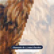 Portrait gros plan vache Highland aux yeux doux – gros plan des diamants