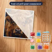 Portrait gros plan vache Highland aux yeux doux – kit prêt à commencer