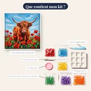 Vache Highland dans un champ de coquelicots – contenu du kit