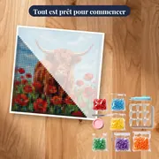 Vache Highland dans un champ de coquelicots – kit prêt à commencer