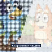 Bluey en Bingo springen in modderplassen – close-up van de steentjes