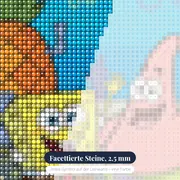 SpongeBob und Patrick vor dem Ananashaus – Nahaufnahme der Steine