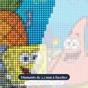 Bob et Patrick devant la maison ananas – gros plan des diamants