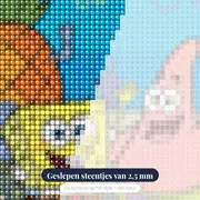 SpongeBob en Patrick voor het ananashuis – close-up van de steentjes