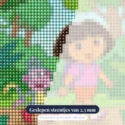 Dora en Boots wandelen door de jungle – close-up van de steentjes