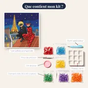 Ladybug et Chat Noir sur les toits – contenu du kit