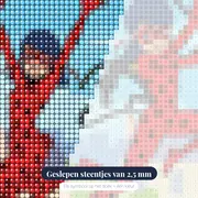 Ladybug en Cat Noir boven de daken – close-up van de steentjes