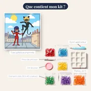 Ladybug et Chat Noir en équilibre sur le toit – contenu du kit
